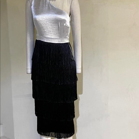 Stunning Lavish Alice X Rosie Connolly Fringe Metallic and black Dress - Picture 3 of 8